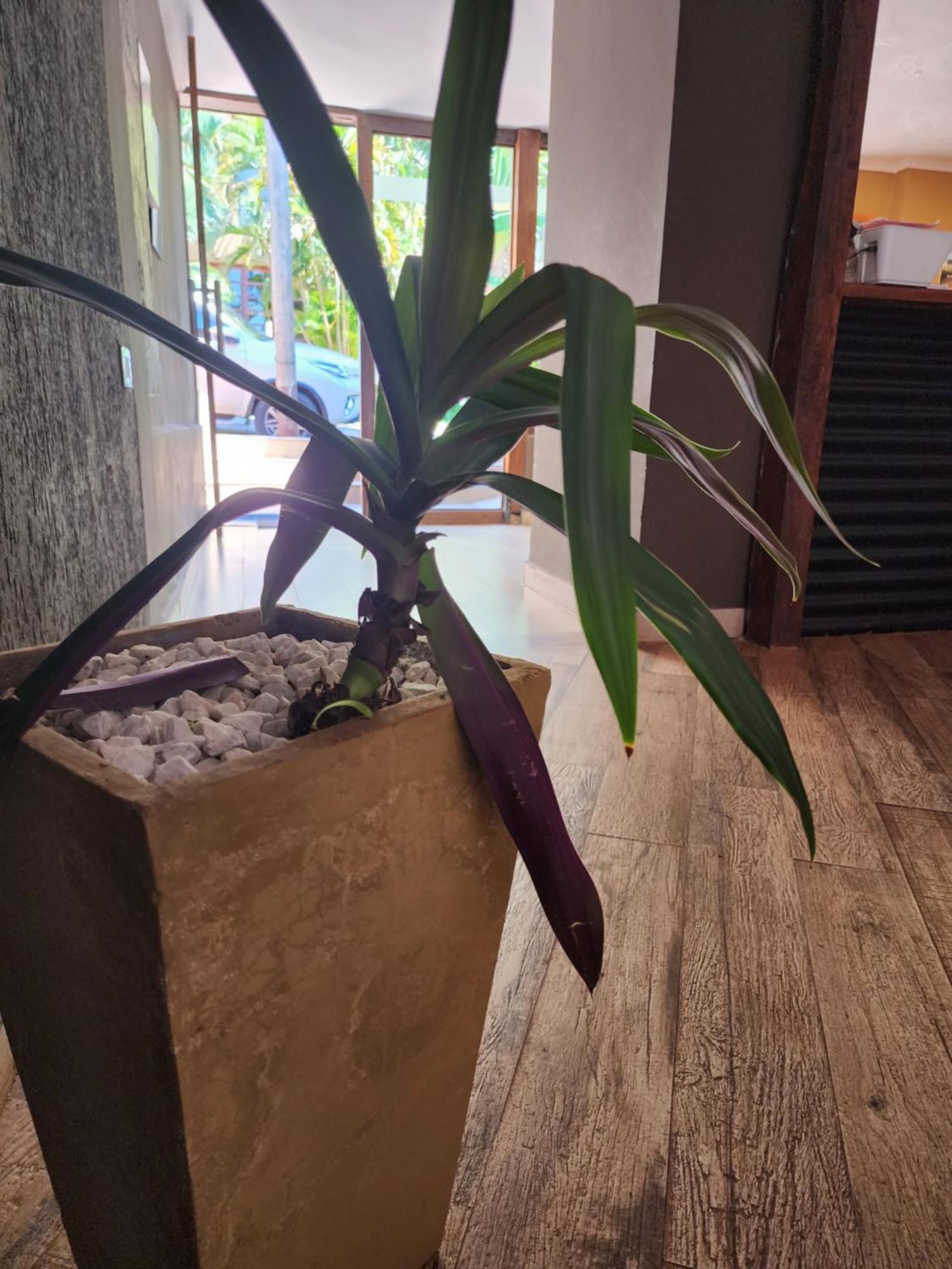 Hotel Bl Puerto Iguazú Kültér fotó